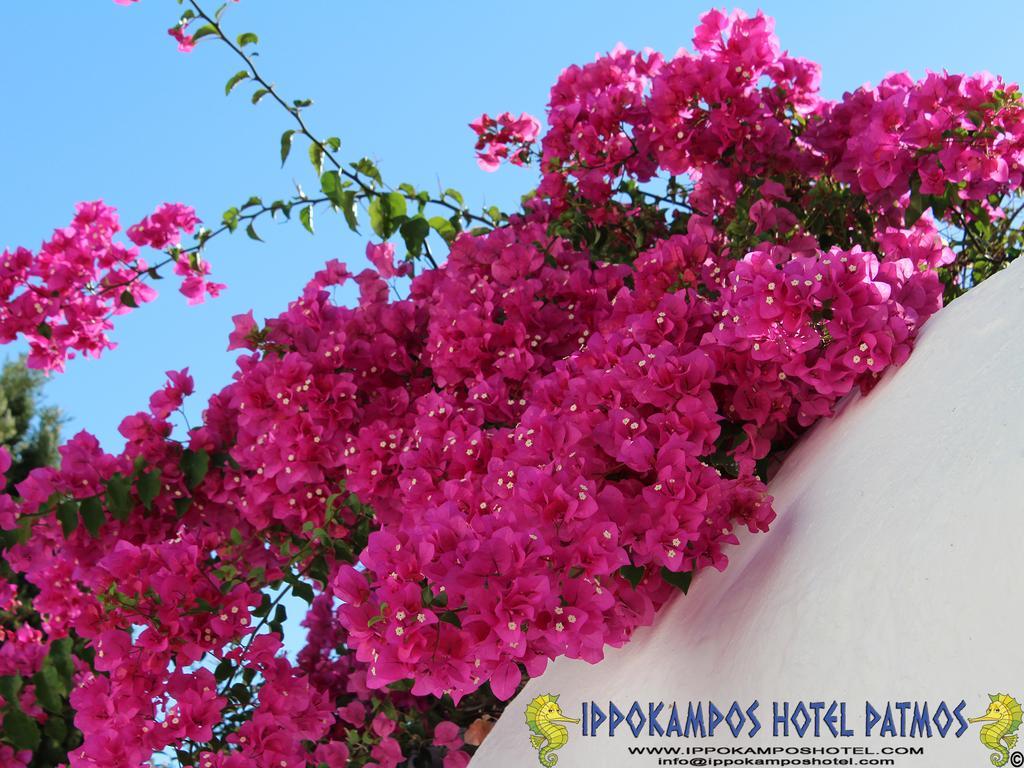 Hotel Ippokampos Skála Zewnętrze zdjęcie